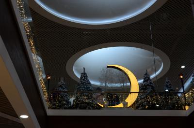 Прикрепленное изображение: DSC_1068_.JPG